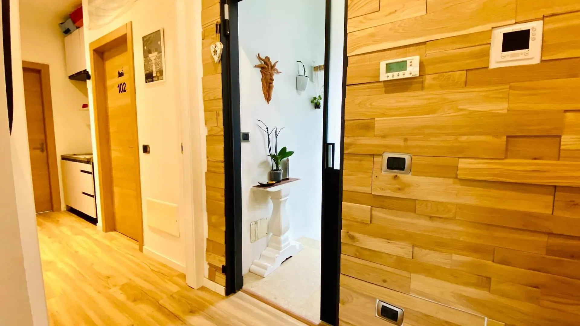 The Luxory Cat Bed & Breakfast Milan Italy