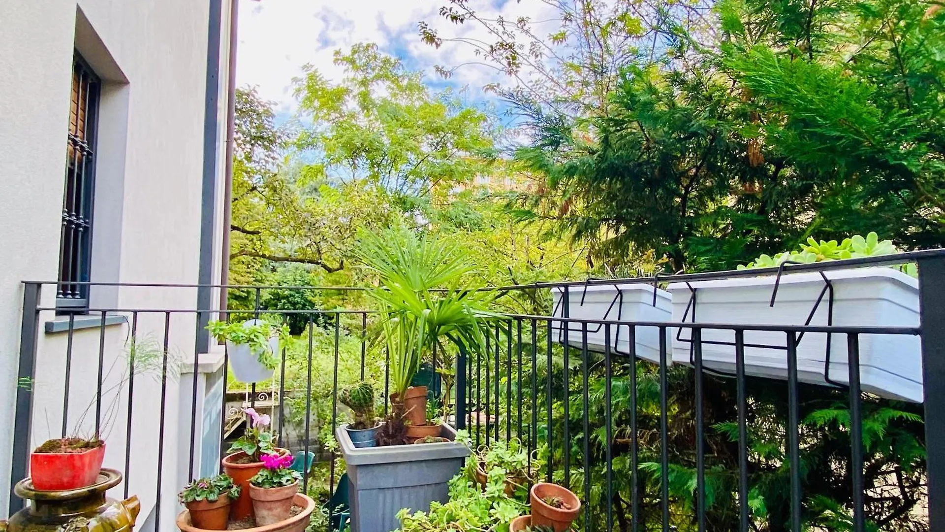 The Luxory Cat Bed & Breakfast Milan