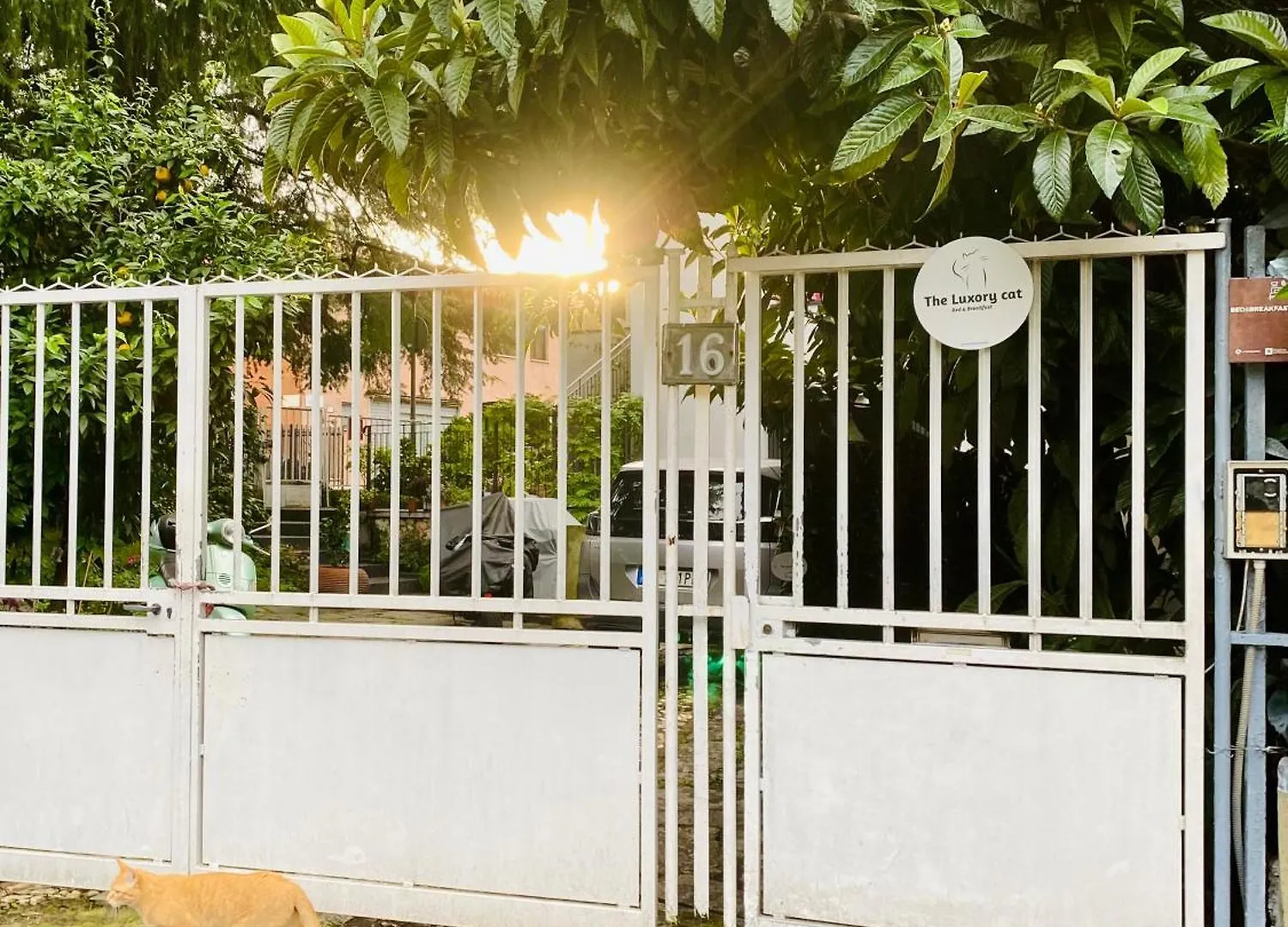 The Luxory Cat Bed & Breakfast Milan