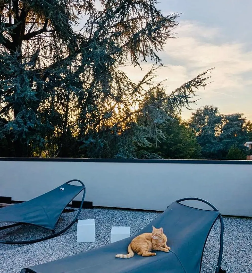 ミラノ The Luxory Cat Bed & Breakfast イタリア