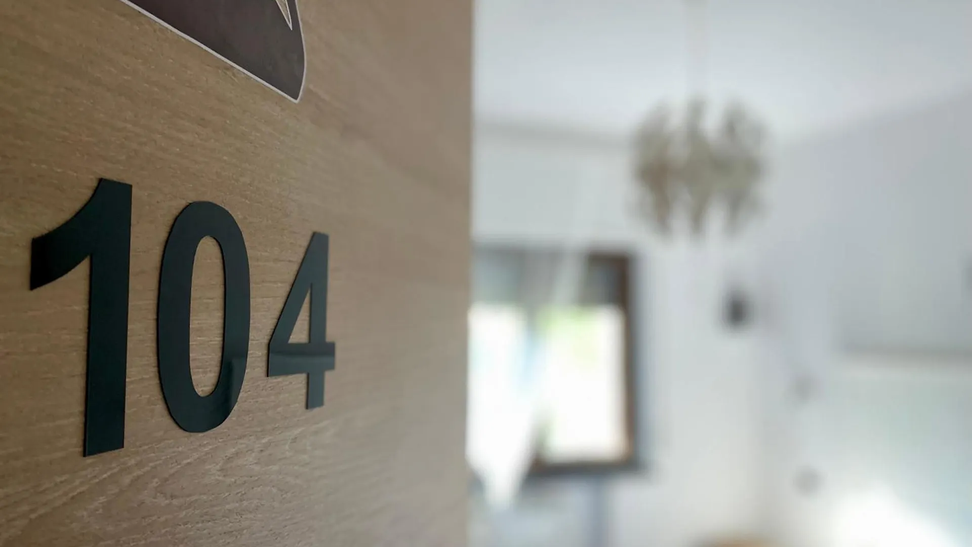 The Luxory Cat Bed and Breakfast Milano Italien