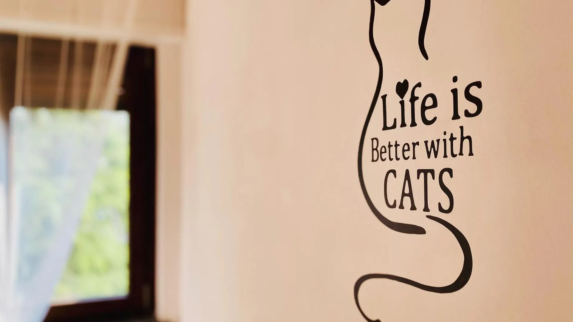 The Luxory Cat Bed and Breakfast Milano