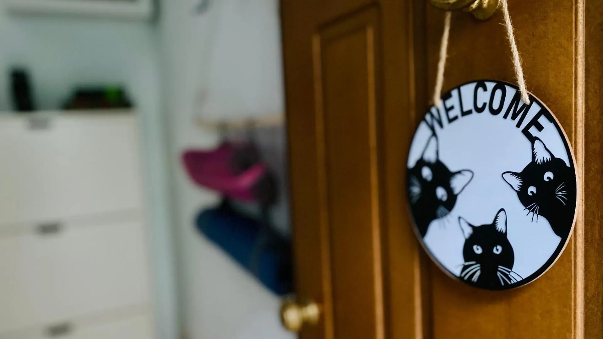 The Luxory Cat Bed and Breakfast Milano