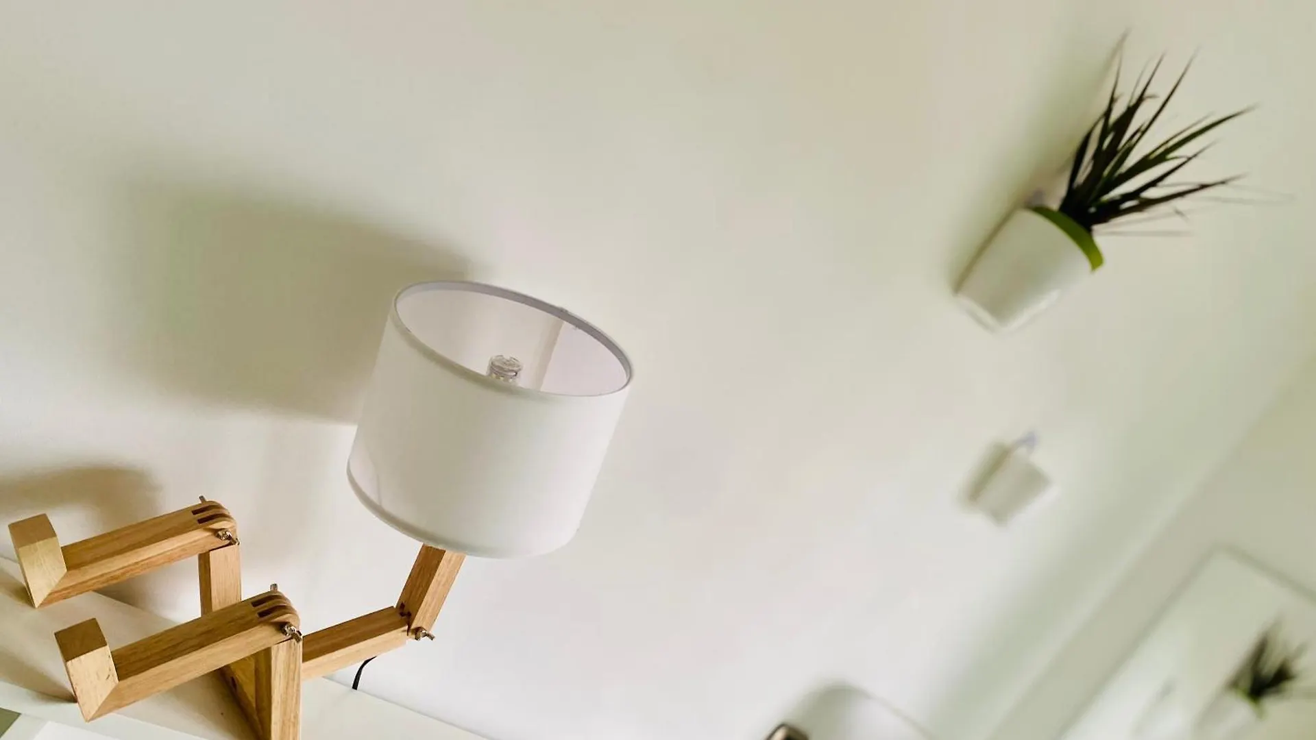 The Luxory Cat Bed and Breakfast Milano
