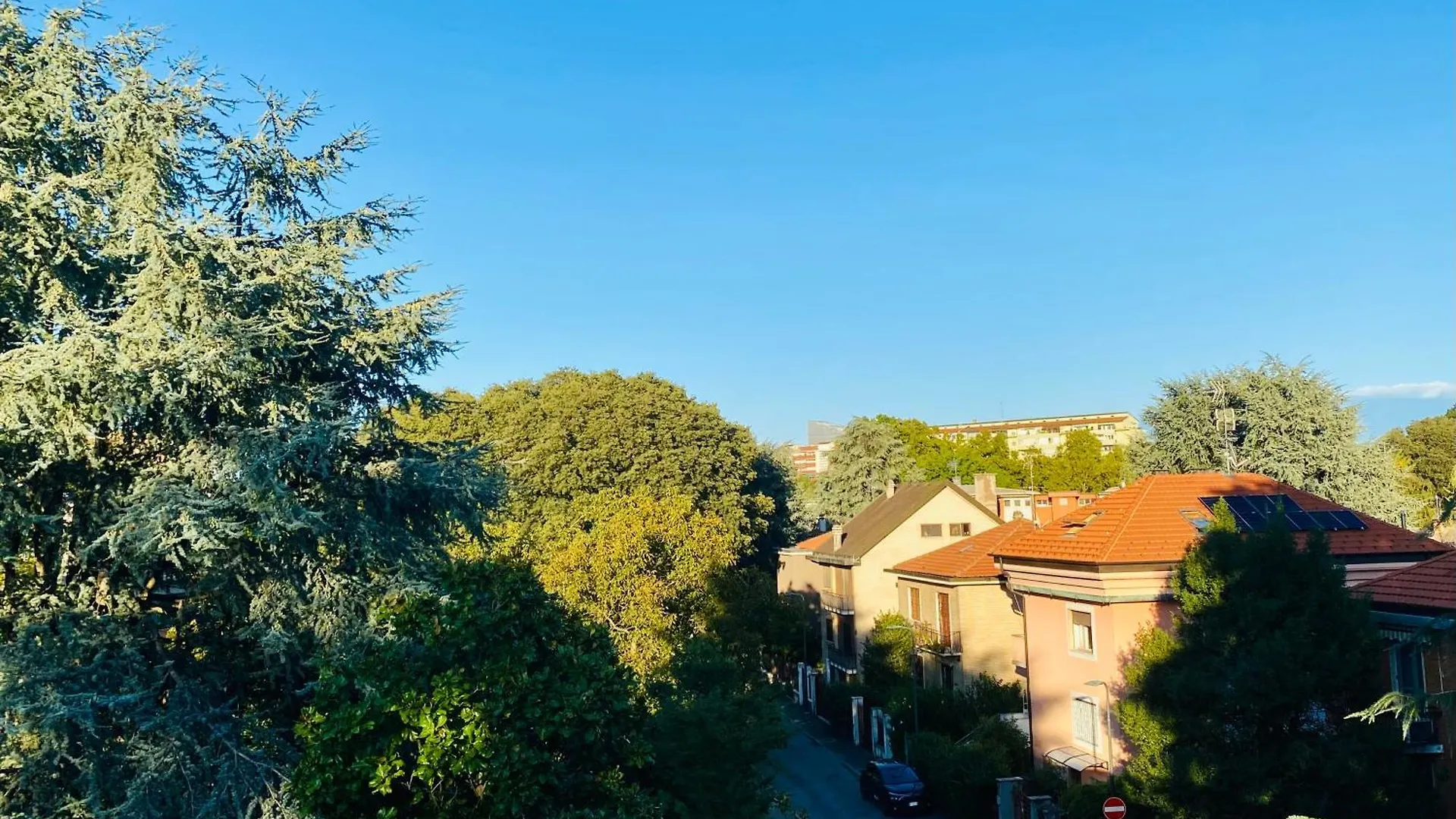 The Luxory Cat Bed and Breakfast Milano 0*,