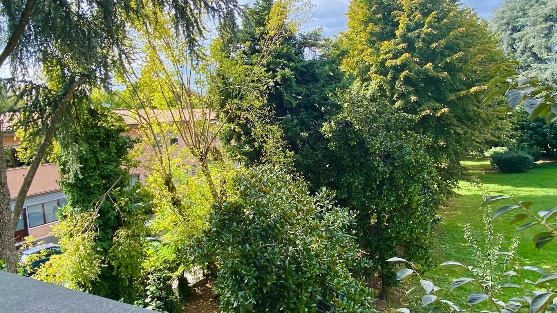 The Luxory Cat Bed and Breakfast Milano Bed & Breakfast
