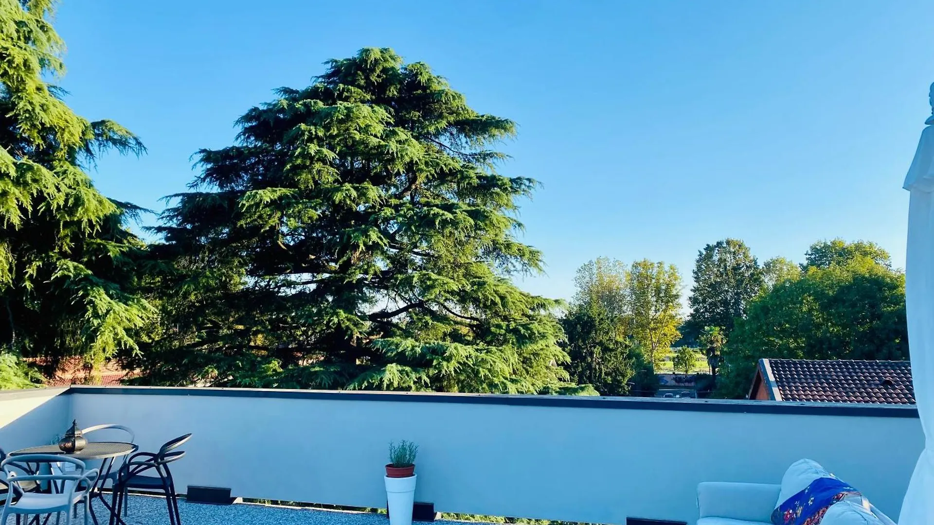 The Luxory Cat Bed and Breakfast Milano 0*,