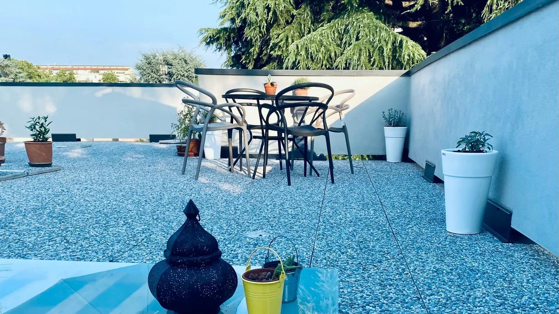 The Luxory Cat Bed and Breakfast Milano