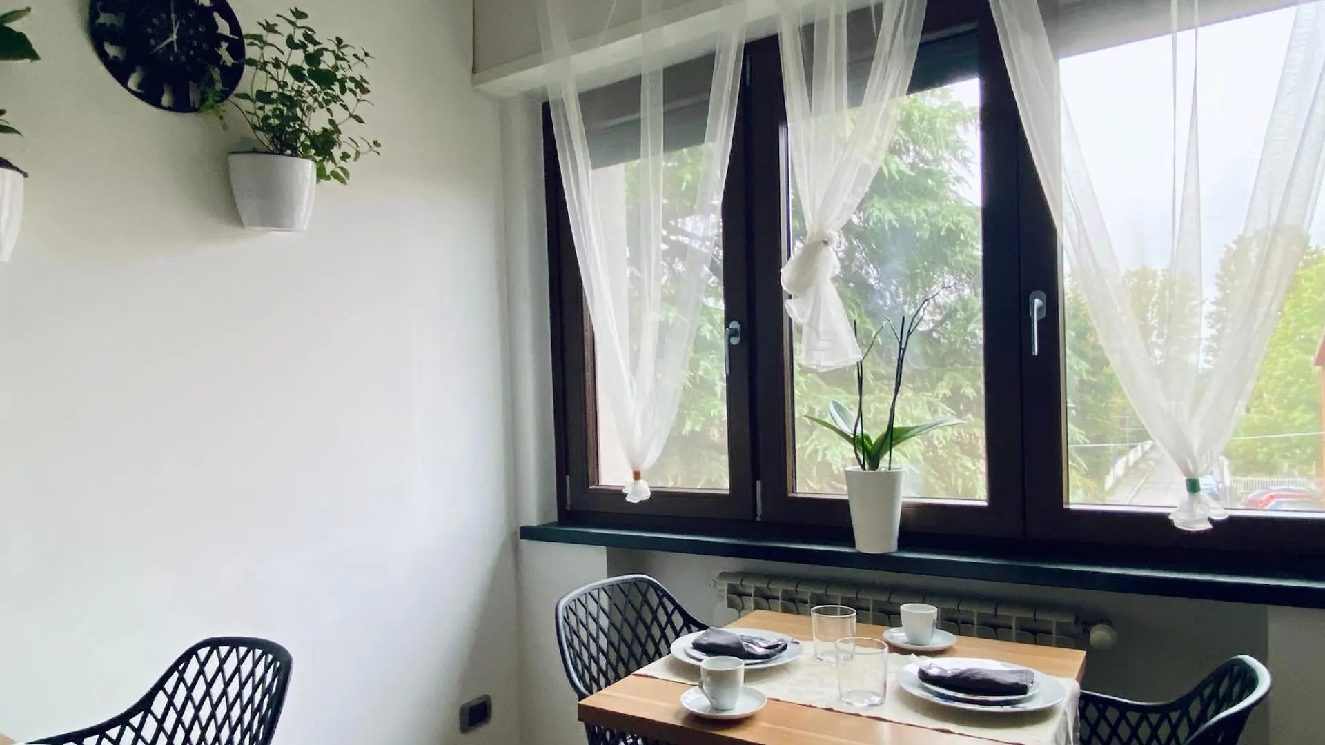 The Luxory Cat Bed and Breakfast Milano