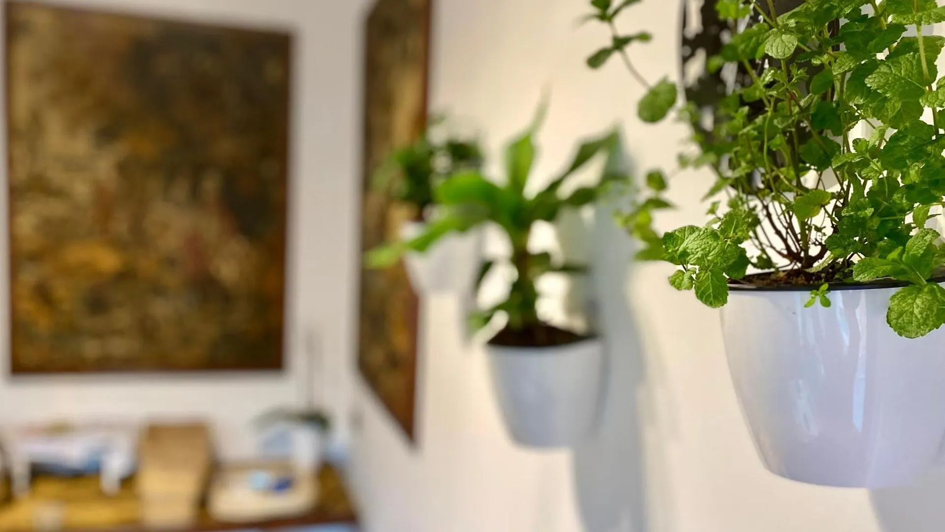 The Luxory Cat Bed and Breakfast Milano Bed & Breakfast