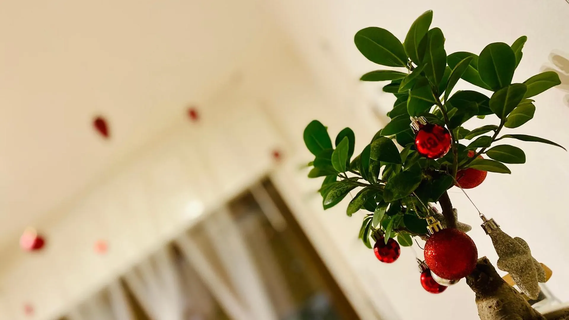 Bed & Breakfast The Luxory Cat Bed and Breakfast Milano