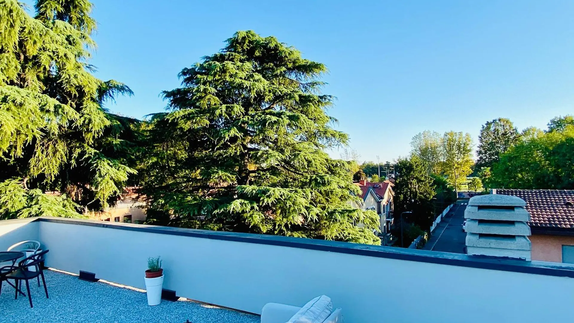 The Luxory Cat Bed and Breakfast Milano