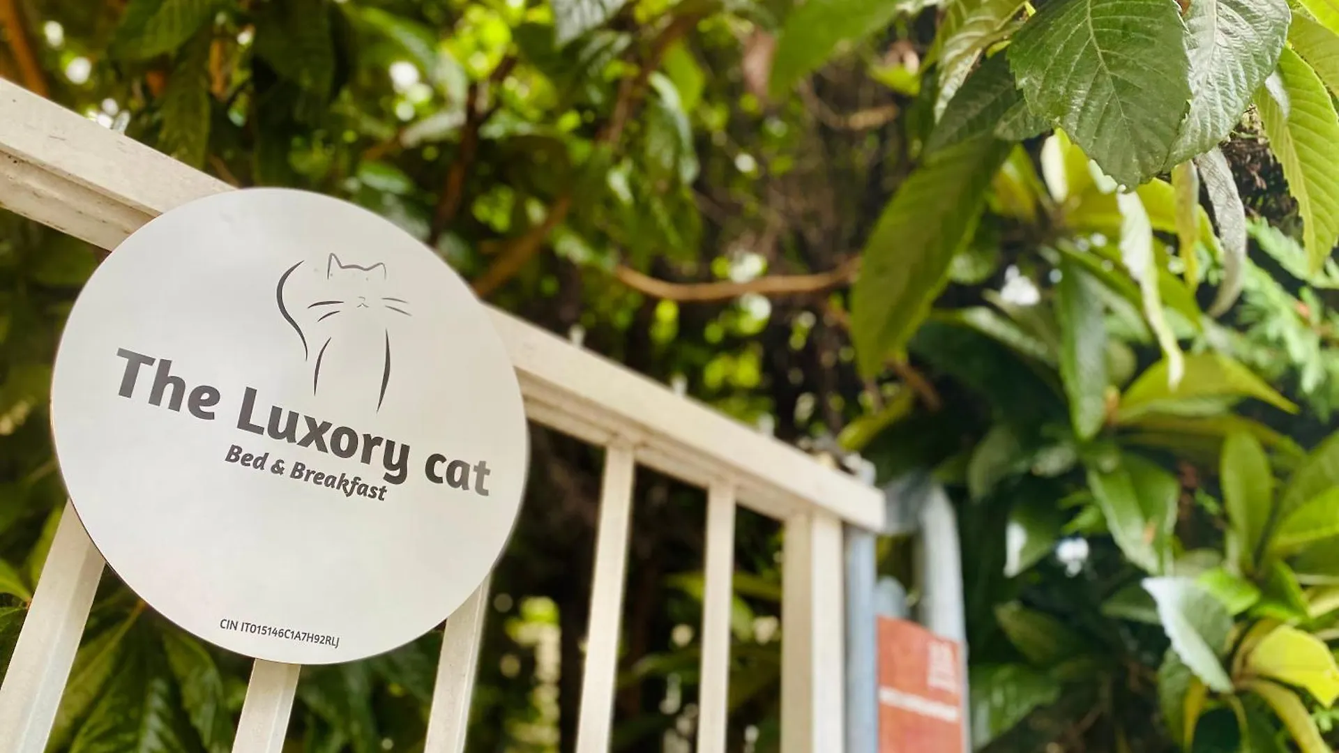 Bed & Breakfast The Luxory Cat Bed and Breakfast Milano Italien